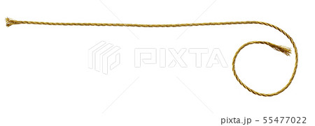 Golden metallic rope 55477022