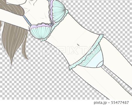 Lingerie Material Lingerie Material 55477487