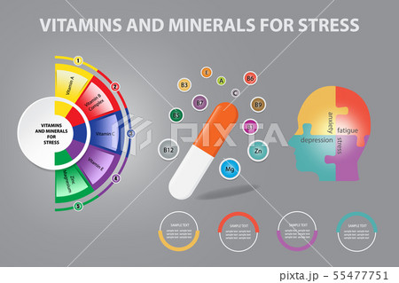 Infographic vector showing vitamins and minerals 55477751