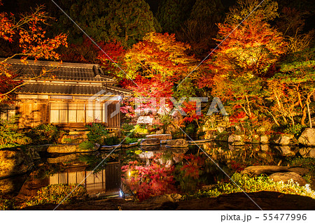 秋の滋賀　湖東三山　百済寺ライトアップ　本坊喜見院 55477996