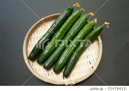 きゅうり 55478413