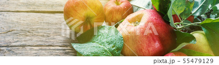 Fresh apple with green leaves from garden Fresh apple with green leaves from garden 55479129