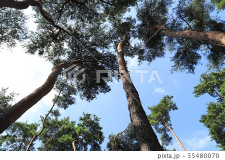 赤塚公園　　　つくば市 55480070