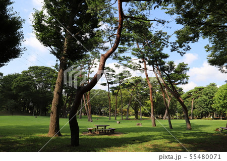赤塚公園 つくば市 赤塚公園 つくば市 55480071