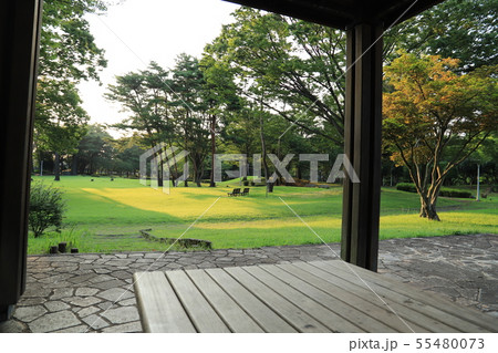 赤塚公園 つくば市 赤塚公園 つくば市 55480073