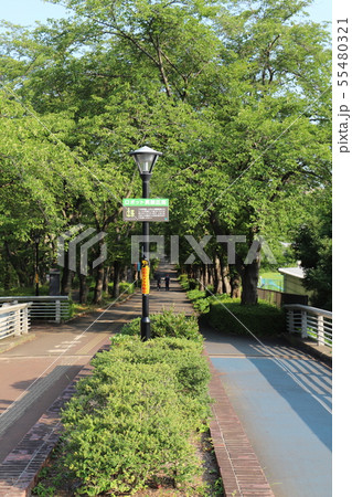 つくば公園通り　　つくば市 55480321