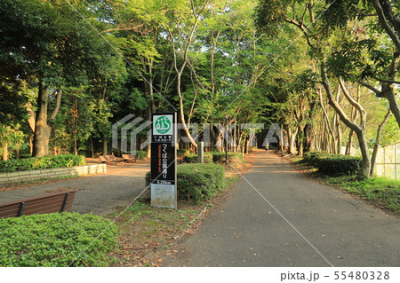 つくば公園通り　　つくば市 55480328