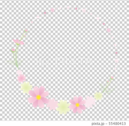 Pink cosmos wreath Pink cosmos wreath 55480413