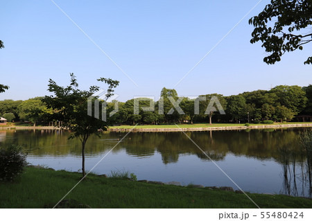 洞峰公園　　　つくば市 55480424