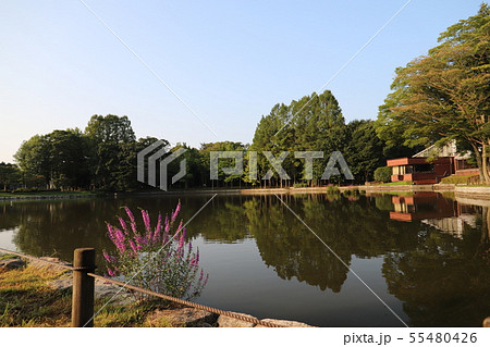 洞峰公園 つくば市 洞峰公園 つくば市 55480426