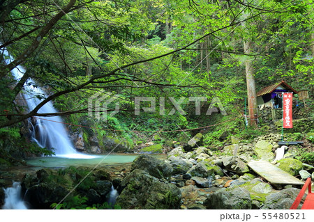 白水の滝へ （しらみずのたき）【 岐阜県関市板取 】 55480521