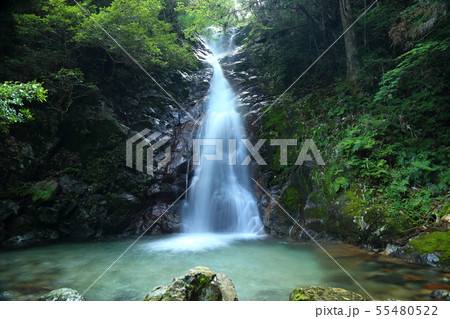 白水の滝へ（しらみずのたき） 【 岐阜県関市板取 】 55480522