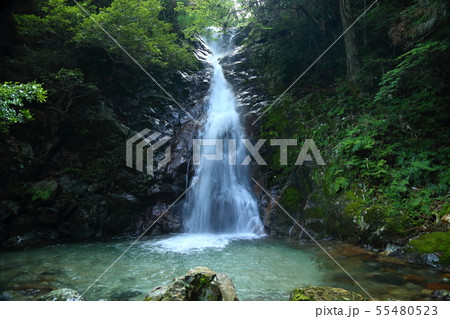 白水の滝へ (しらみずのたき)【 岐阜県関市板取 】 白水の滝へ (しらみずのたき)【 岐阜県関市板取 】 55480523