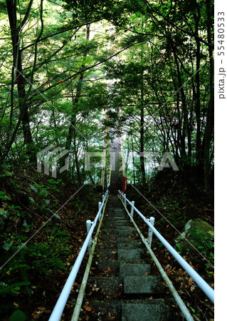 白水の滝へ （しらみずのたき）【 岐阜県関市板取 】 55480533