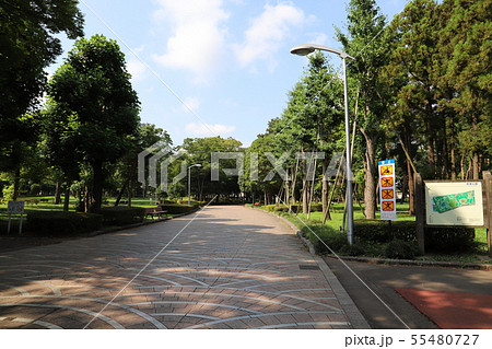 洞峰公園　　つくば市 55480727