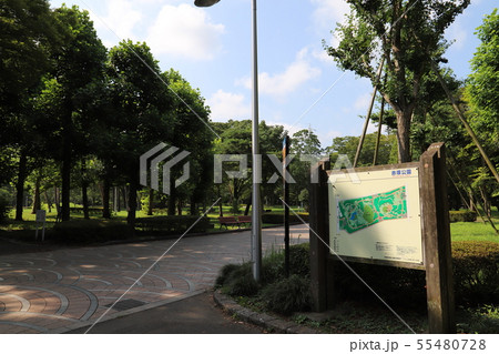 洞峰公園 つくば市 洞峰公園 つくば市 55480728