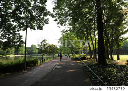 洞峰公園 つくば市 洞峰公園 つくば市 55480730