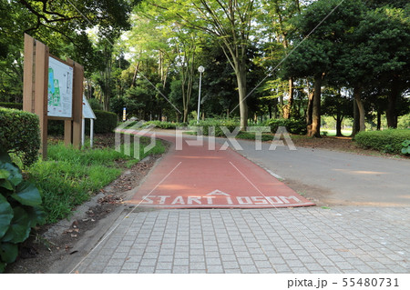 洞峰公園 つくば市 洞峰公園 つくば市 55480731