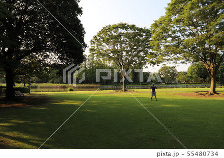 洞峰公園 つくば市 洞峰公園 つくば市 55480734