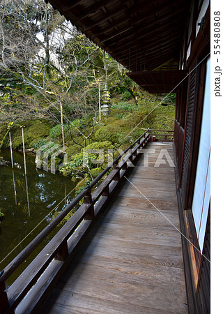 冬の円満院庭園 冬の円満院庭園 55480808