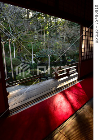 冬の円満院庭園 冬の円満院庭園 55480810