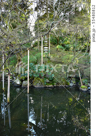 冬の円満院庭園 冬の円満院庭園 55480812