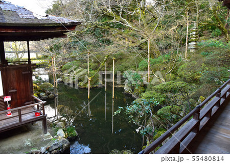 冬の円満院庭園 55480814