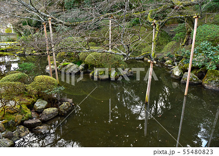 冬の円満院庭園 冬の円満院庭園 55480823