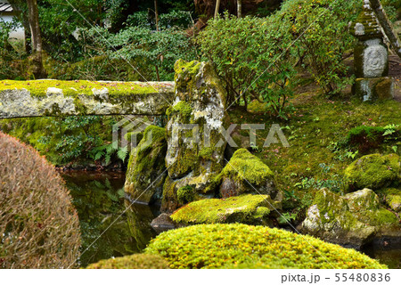 冬の円満院庭園 冬の円満院庭園 55480836