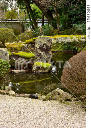 冬の円満院庭園 冬の円満院庭園 55480843