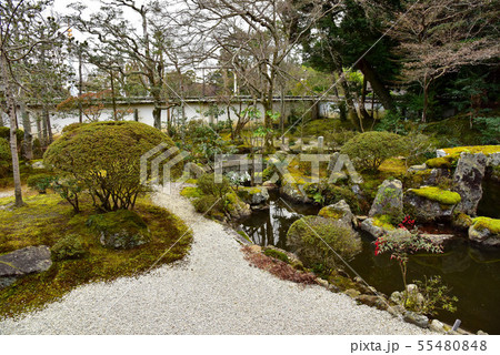 冬の円満院庭園 冬の円満院庭園 55480848