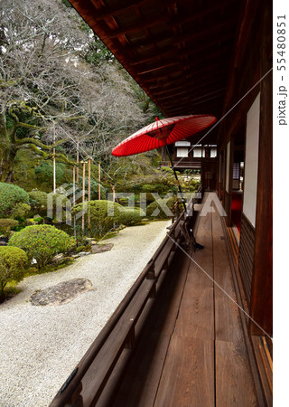 冬の円満院庭園 冬の円満院庭園 55480851