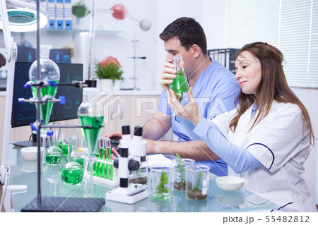 Middle age woman with her assistant working in a research lab for microbiology 55482812