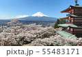 富士山J418M7888_新倉山忠霊塔030ベスト 55483171
