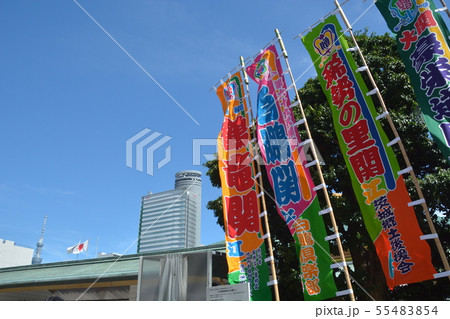 大相撲 大相撲 55483854