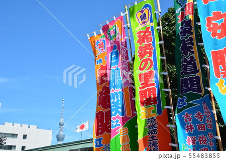 大相撲 大相撲 55483855