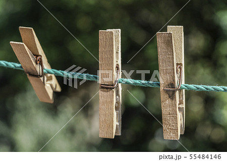 wooden clothes pegs hanged on rope at garden wooden clothes pegs hanged on rope at garden 55484146