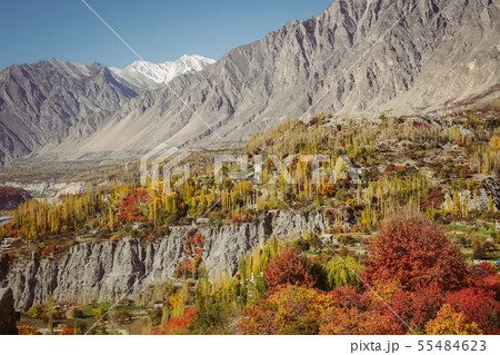Colorful foliage in Hunza valley against mountains 55484623