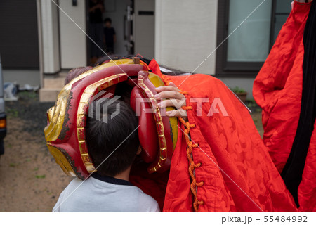 麒麟獅子にかまれる子供 55484992