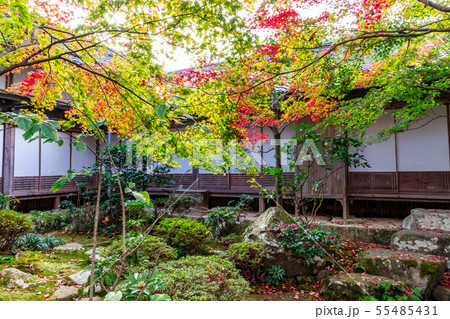 本坊庭園の紅葉 百済寺 本坊庭園の紅葉 百済寺 55485431
