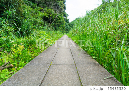 大町公園 55485520