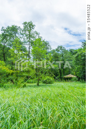 大町公園 55485522