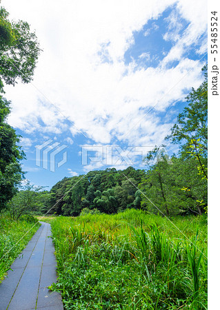 大町公園 55485524