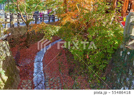 東京八王子市の高尾山ケーブルカー駅前通りから京王高尾線 高尾山口駅に繋がる道（もみじ通り）方面 55486418
