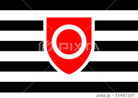 Flag, rectangular shape icon on white background Flag, rectangular shape icon on white background 55487207