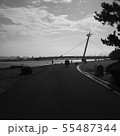 道 55487344