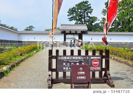 小田原の町並み 小田原城正規登城ルート(大手登城口) 小田原の町並み 小田原城正規登城ルート(大手登城口) 55487710