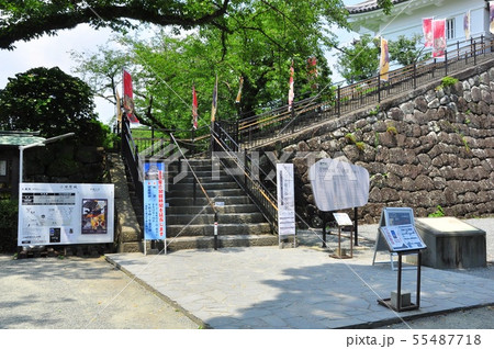 小田原の町並み　小田原城天守閣の登城口前 55487718