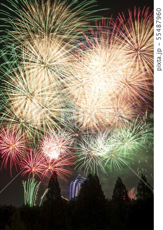 花火 夏 祭 彩夏祭 花火 夏 祭 彩夏祭 55487960