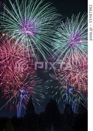 花火　夏　祭　彩夏祭 55487962